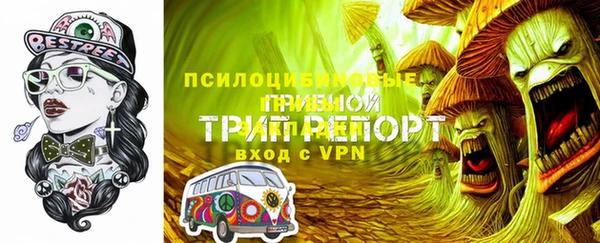 дживик Баксан
